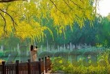 麻豆69堂免费视频-麻豆69堂，探索网络学习的新边疆