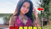 麻豆视频app官网安卓下载-关于麻豆视频App的安卓下载及应用体验分享