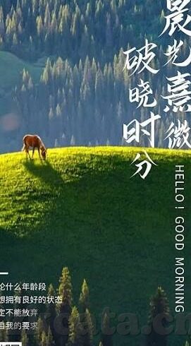 糖心app下载大全-章节一，探索多元生活的窗口，糖心app与您相约